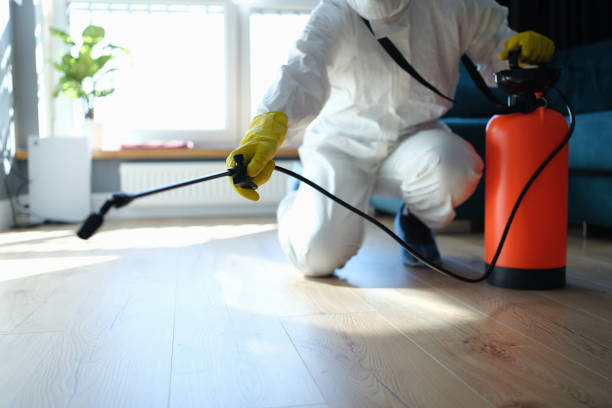 Reliable Infectious Disease Decontamination contractor in Sulphur Springs, TX by Trauma Clean Pros